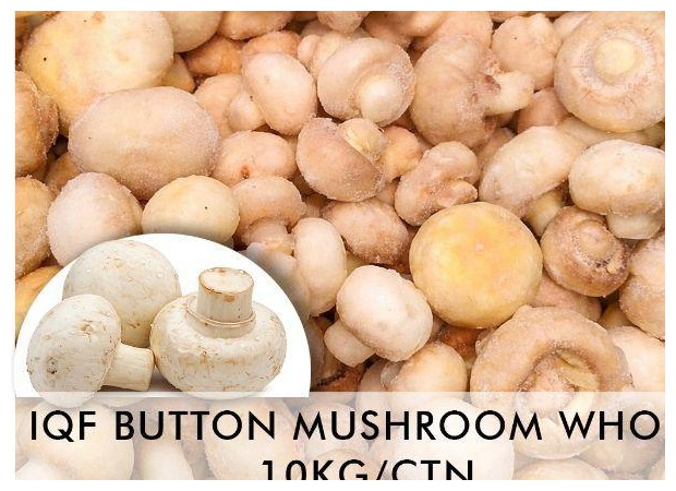 IQF Button Mushroom Whole